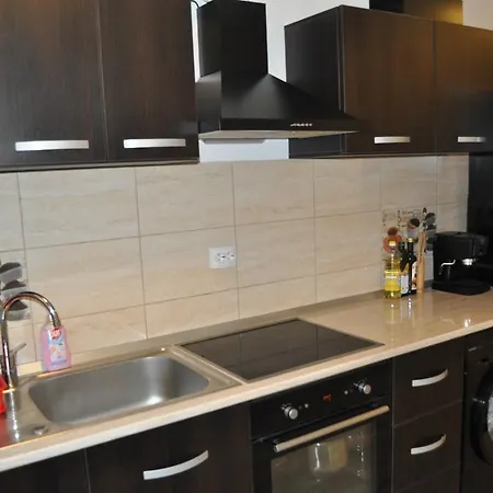 Big House Apartment