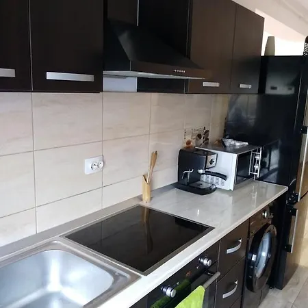 Big House Apartment Navodari